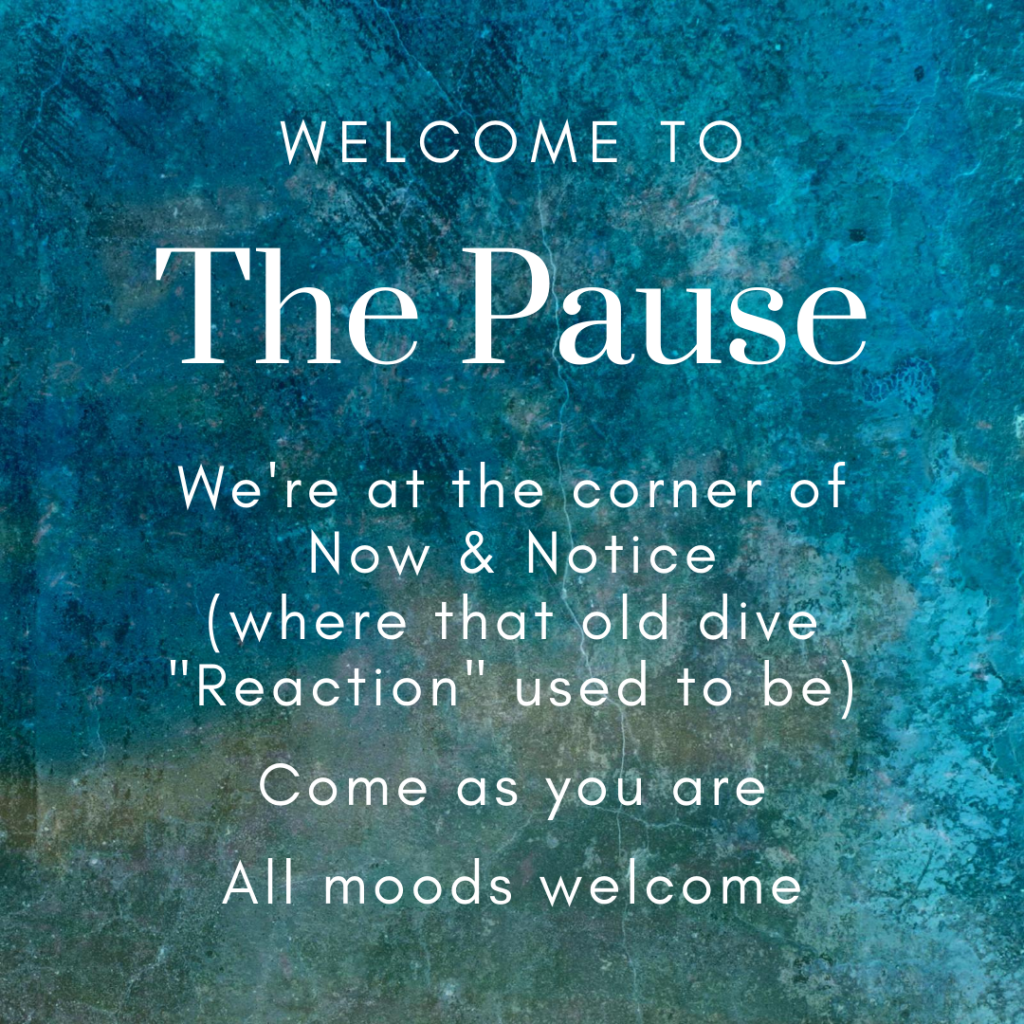Text on teal and turquoise background: Welcome to The Pause | We're at the corner of Now & Notice (where that old dive "Reaction" used to be) | Come as you are, all moods welcome